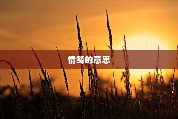 情笺的意思