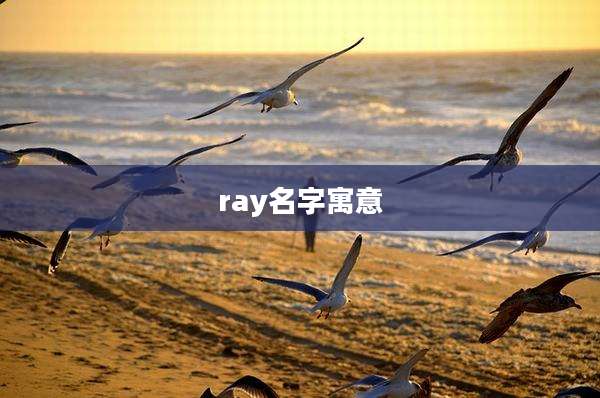 ray名字寓意