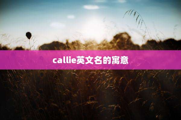 callie英文名的寓意