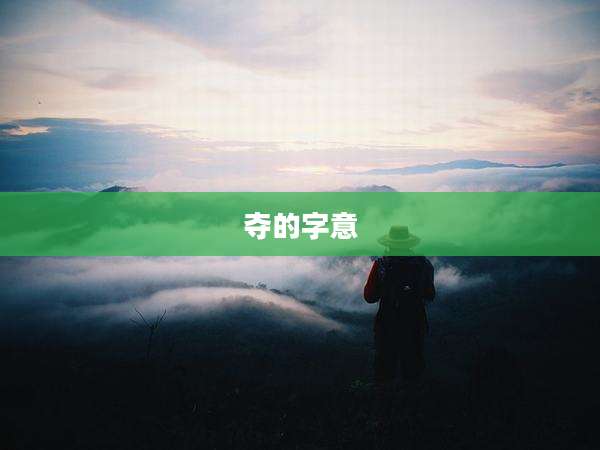 夺的字意