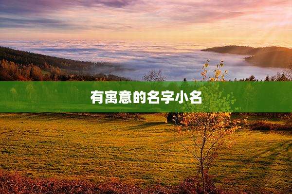 有寓意的名字小名