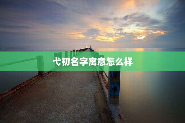 弋初名字寓意怎么样
