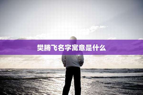 樊腾飞名字寓意是什么