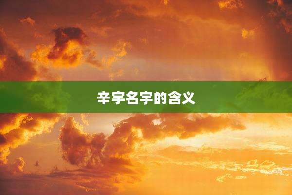 辛宇名字的含义