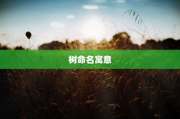 树命名寓意