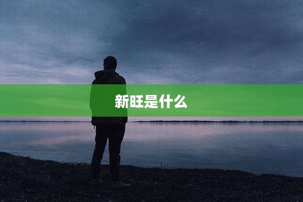 新旺是什么