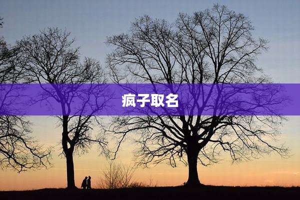 疯子取名