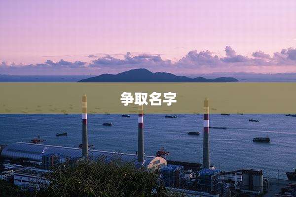 争取名字