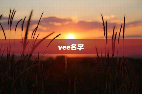 vee名字