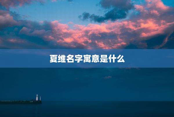 夏维名字寓意是什么