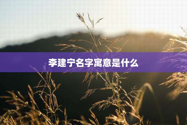 李建宁名字寓意是什么