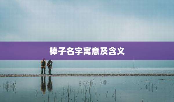 棒子名字寓意及含义