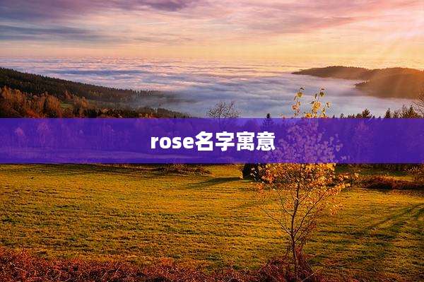 rose名字寓意