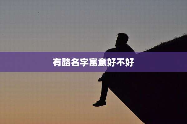 有路名字寓意好不好