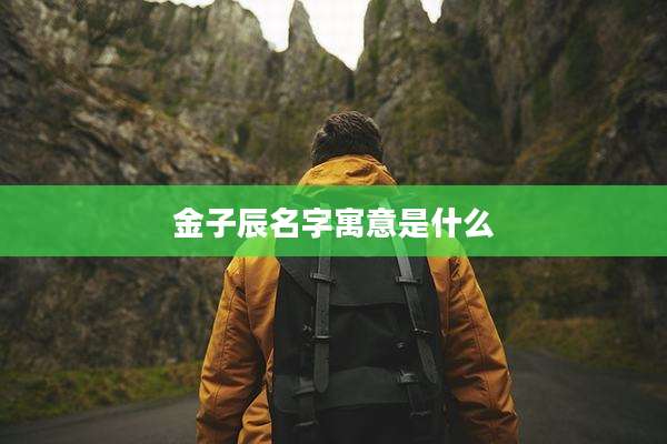 金子辰名字寓意是什么