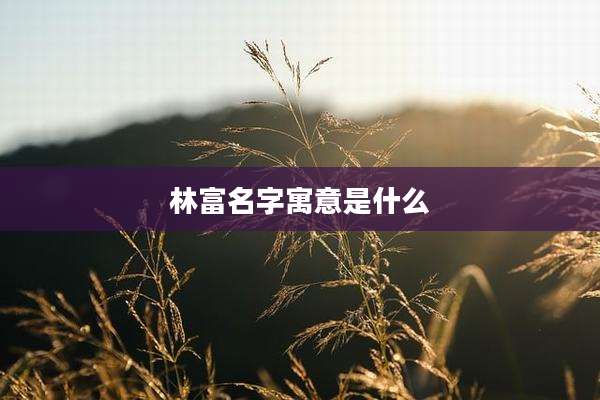 林富名字寓意是什么