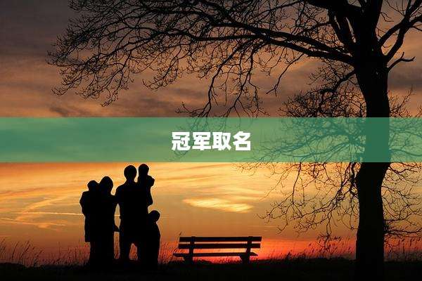 冠军取名