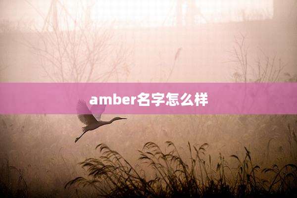amber名字怎么样