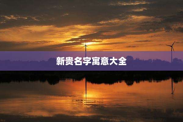 新贵名字寓意大全