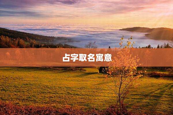占字取名寓意