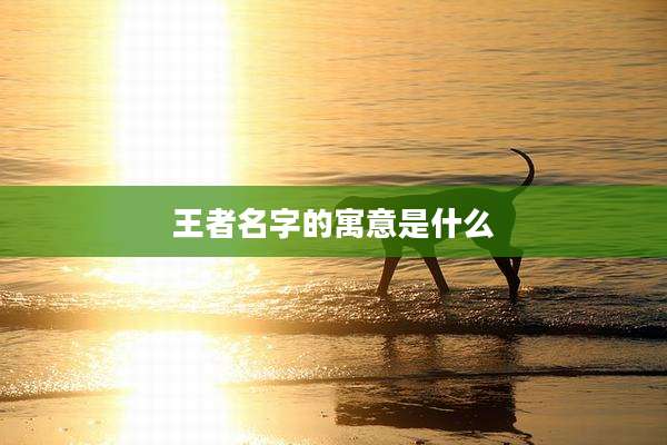 王者名字的寓意是什么