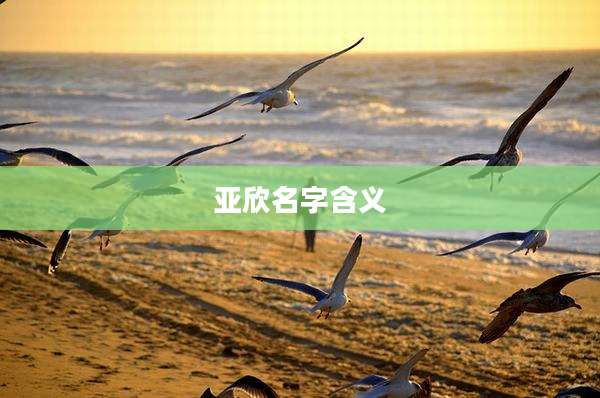 亚欣名字含义