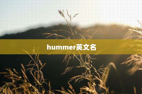 hummer英文名