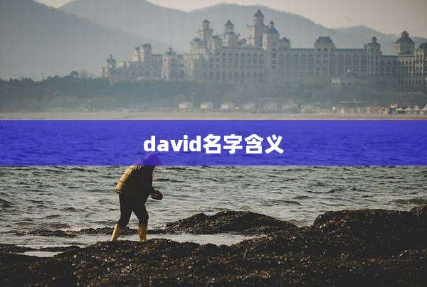 david名字含义