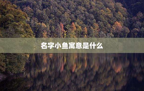 名字小鱼寓意是什么