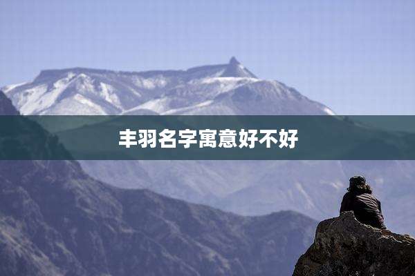 丰羽名字寓意好不好