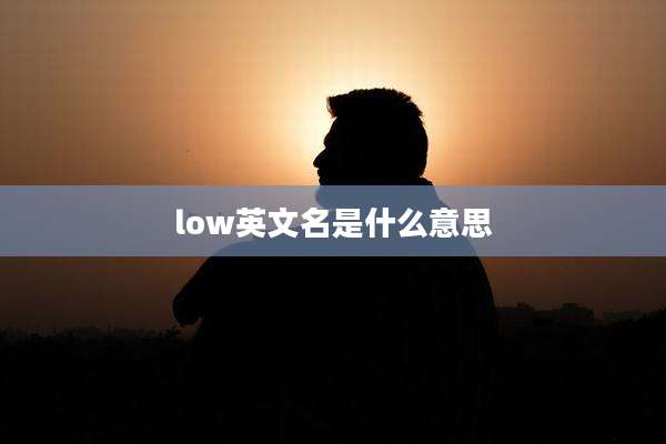 low英文名是什么意思