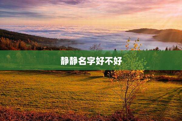 静静名字好不好