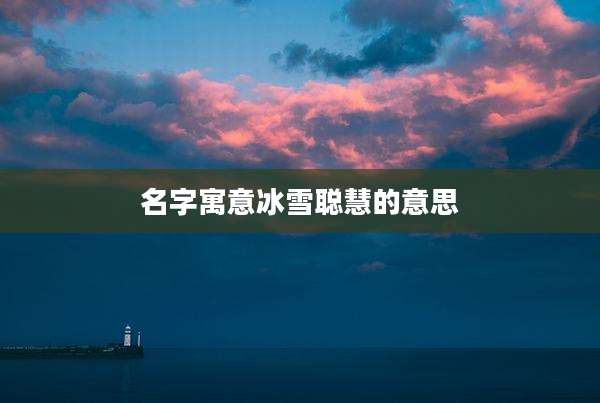 名字寓意冰雪聪慧的意思