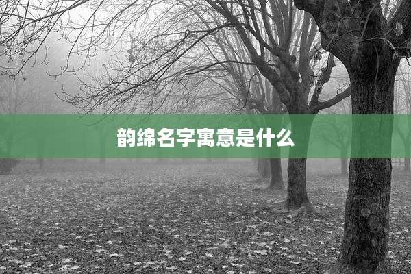 韵绵名字寓意是什么