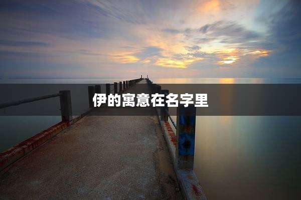 伊的寓意在名字里