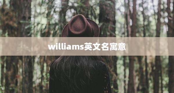 williams英文名寓意