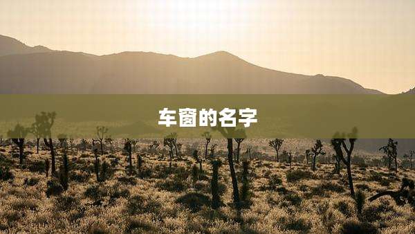车窗的名字