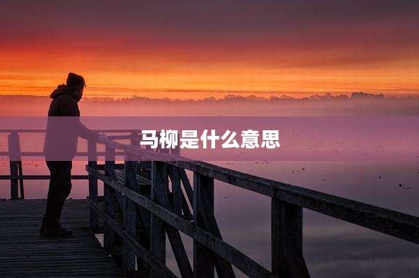 马柳是什么意思