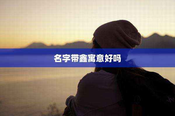 名字带鑫寓意好吗