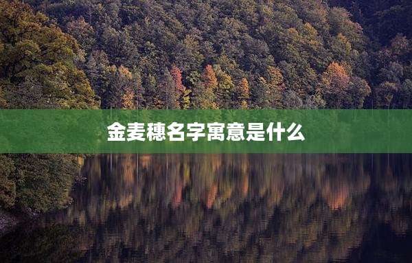 金麦穗名字寓意是什么