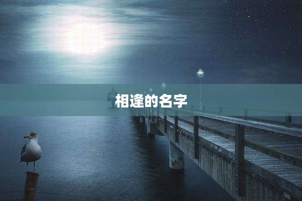 相逢的名字