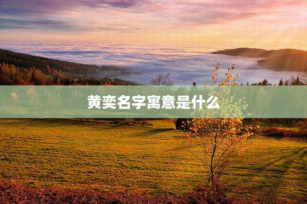 黄奕名字寓意是什么