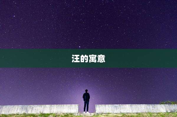 汪的寓意