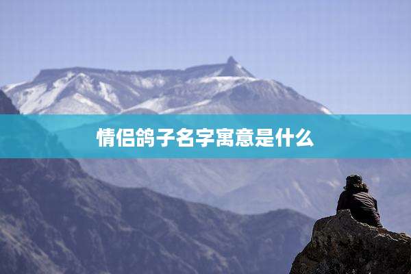 情侣鸽子名字寓意是什么