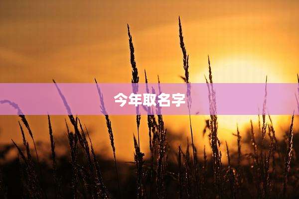 今年取名字