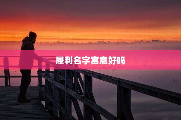 犀利名字寓意好吗