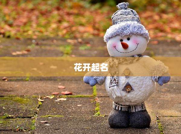 花开起名