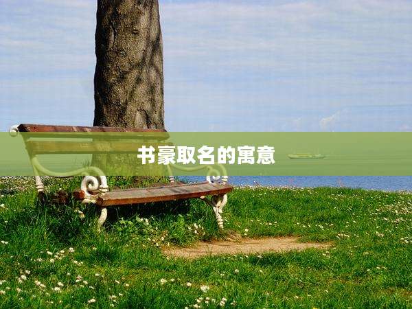 书豪取名的寓意