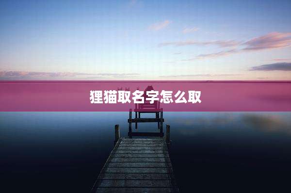 狸猫取名字怎么取