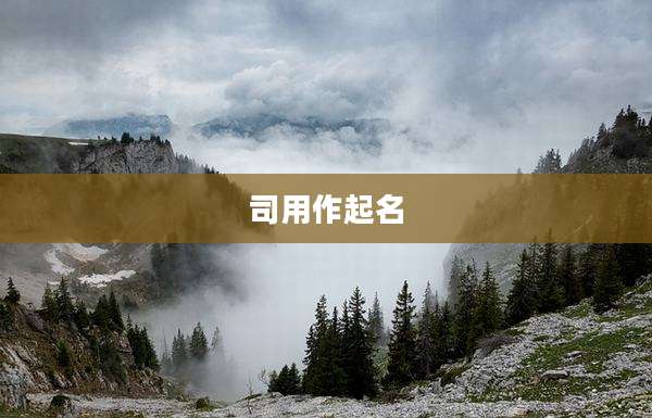 司用作起名